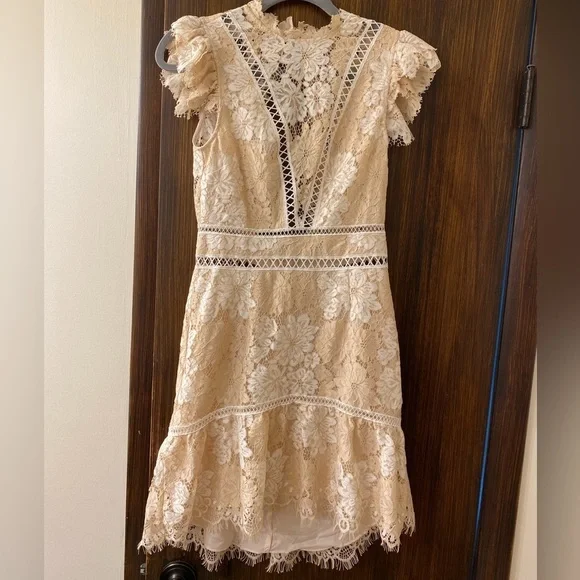 SAYLOR
Kelly Lace Mini Dress (D2) - Picture 6 of 11